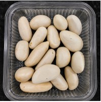 Ready to Use - Jack Seeds (100 gm Plastic Box)